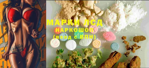 гашик Аркадак