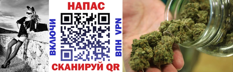 Канабис SATIVA & INDICA  Таруса 